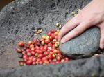 Coffee Price Lows