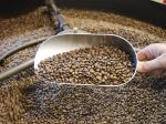 Roaster of the Year Competition